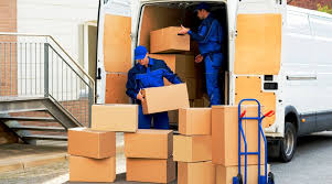 Dịch Vụ Vận Chuyển Hàng Hóa Thuận Hòa Logistics – Giải Pháp Tối Ưu Cho Doanh Nghiệp